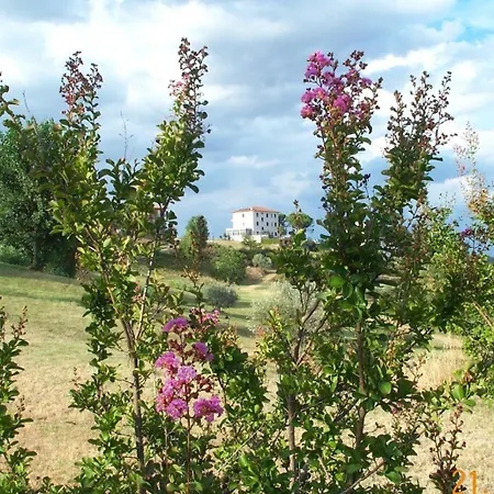 Marina Кьянчано-Терме